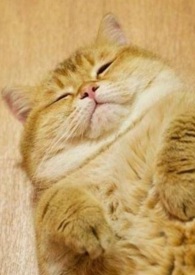 �ҵ�������ֻ��