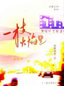 һ֦������