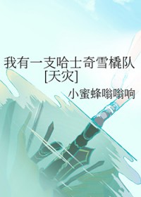 ����һ֧��ʿ��ѩ����[����]