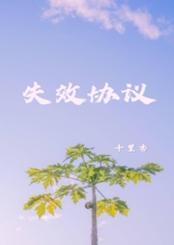 ʧЧЭ��