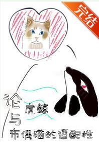 �Ǹ��ڱ�����˧��A