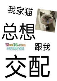 ���ѳ�����Ҽ�è����ǿ��